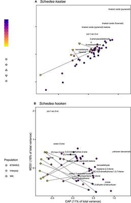 Floral Scent Composition and Fine-Scale Timing in Two Moth-Pollinated Hawaiian Schiedea (Caryophyllaceae)